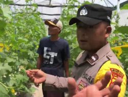 Giat Kapolsek Sekaran Monitoring Peningkatan Ketahanan Pangan Nasional di Desa Besur