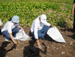 Maksimalkan Kualitas Air, Pemkab Lamongan Fokus Bersihkan Sungai 