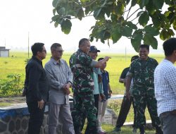 Danrem Untoro Tinjau Pertanian Padi di Ngawi Dukung Ketahanan Pangan Nasional