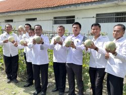 Lapas Lamongan Panen Melon Perdana Wujud Nyata Pembinaan Kemandirian Dukung Program Ketahanan Pangan Nasional