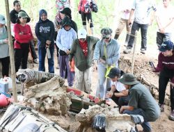 Ketua Umum Persit Ny. Uli Simanjuntak Tinjau Lokasi Penemuan Fosil Gajah Purba di Nganjuk
