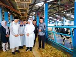 Gubernur Khofifah Tinjau Peternakan Sapi Perah Guna Optimis Tingkatkan Produksi Susu Nasional Untuk Turunkan Ketergantungan Impor. 