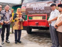 Bukti Kualitas Kopi Jatim Mendunia, Gubernur Khofifah Lepas Ekspor 10 Ton Kopi Specialty dan Fine Robusta Java Ijen Raung ke Taiwan.