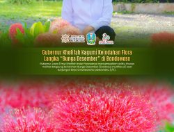 Pesona Bunga Desember, Gubernur Khofifah Kagumi Flora Langka Kebanggaan Bondowoso