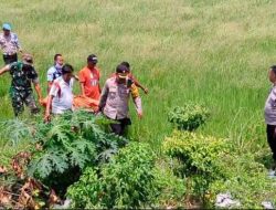 Gegerkan Warga, Jenazah Pencari Rumput di Persawahan, Polsek Babat Lakukan Evakuasi dan Hubungi Keluarga