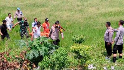 Gegerkan Warga, Jenazah Pencari Rumput di Persawahan, Polsek Babat Lakukan Evakuasi dan Hubungi Keluarga