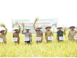 Menempati Peringkat Pertama, Kabupaten Lamongan  Produksi Padi Se Jawa Timur