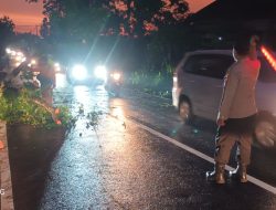 Kapolsek Kembangbahu Lakukan Pengecekan Penanganan Pohon Tumbang di Jalan Raya Mantup