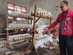 SMPN 1 Solokuro Ciptakan Kreatifitas Siswa Dengan Kewirausahaan Berbasis Kemandirian