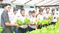 Lapas Lamongan Suplai Selada Hidroponik ke SPPG Keduyung untuk Dukung Program MBG. 