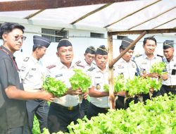 Lapas Lamongan Suplai Selada Hidroponik ke SPPG Keduyung untuk Dukung Program MBG. 