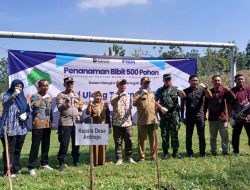 Rayakan HUT PNM, Muspika Beserta TNI Tanam 500 Pohon Di Sambeng