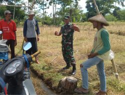 Dukung Ketahanan Pangan, Babinsa Kaweron Bersama Poktan Ngudibogo III Kerjabakti Irigasi
