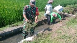 Sinergi Upsus Ketahanan Pangan, Serma Aminoto Bersama Poktan Margo Rukun Bersihkan Saluran Irigasi
