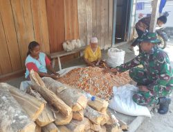 Satgas TMMD ke-130 Kodim Jombang Peduli Petani Jagung