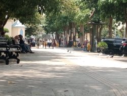 Keluh Kesah Pengunjung Alun Alun, Dampak Dari Kotoran Burung Dara.