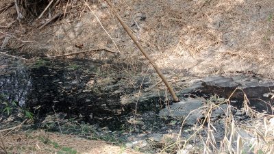 Diduga Cemari Lingkungan, Bau Limbah Menyengat Dikeluhkan Warga di Wilayah Kabuh, Jombang